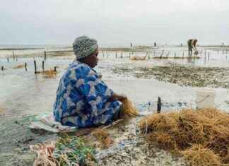 Understanding Climate Vulnerability: Stories of Two Women understanding-climate-vulnerability-stories-of-two-women