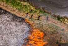 Washington State’s Innovative Wildfire Prevention Strategy: All Hands, All Lands washington-states-nnovative-wildfire-prevention-strategy-all-hands-all-lands