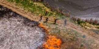 Washington State’s Innovative Wildfire Prevention Strategy: All Hands, All Lands washington-states-nnovative-wildfire-prevention-strategy-all-hands-all-lands