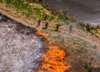 Washington State’s Innovative Wildfire Prevention Strategy: All Hands, All Lands washington-states-nnovative-wildfire-prevention-strategy-all-hands-all-lands