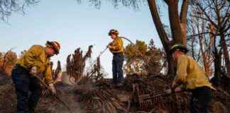 Women in Wildland Firefighting Bootcamps Canceled Due to DEI Cuts women-in-wildland-firefighting-bootcamps-canceled-due-to-de-cuts