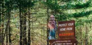 New Jersey Faces Wildfire After Cutting Back on Prescribed Burns new-jersey-faces-wildfire-after-cutting-back-on-prescribed-burns