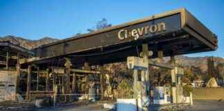 Trump Administration Dismisses 400 Climate Experts: What’s Next? trump-administration-dismisses-400-climate-experts-whats-next