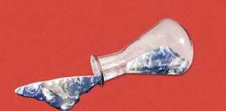 Trump’s assault on American science: A legacy at risk trumps-assault-on-american-science-a-legacy-at-risk