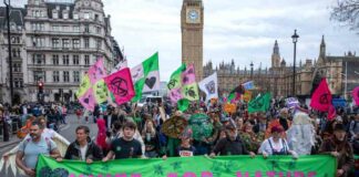 unlocking-climate-action-support-experts-urge-social-tipping-point