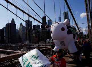 White House clarifies stance on climate groups’ tax status white-house-clarifies-stance-on-climate-groups-tax-status