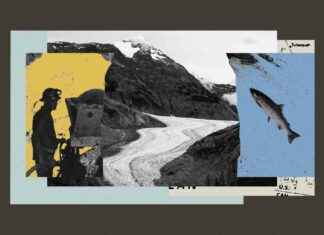 Beneficiaries of Melting Glaciers: Impacts on Various Sectors and Communities beneficiaries-of-melting-glaciers-mpacts-on-various-sectors-and-communities