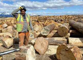 Building a Sustainable Firewood Bank: The Washoe Tribe’s Elder Heating Initiative building-a-sustainable-firewood-bank-the-washoe-tribes-elder-heating-nitiative