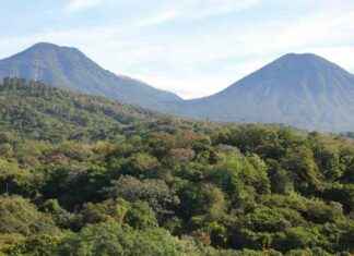 Building Climate Resilience Through Nature Conservation building-climate-resilience-through-nature-conservation