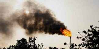 COP30: Addressing the Elephant in the Room – Fossil Fuels and Climate Change cop30-addressing-the-elephant-in-the-room-fossil-fuels-and-climate-change