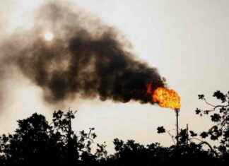 COP30: Addressing the Elephant in the Room – Fossil Fuels and Climate Change cop30-addressing-the-elephant-in-the-room-fossil-fuels-and-climate-change