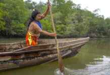 Cultural Values Enhance Forest Growth on Indigenous Lands: Study cultural-values-enhance-forest-growth-on-ndigenous-lands-study