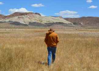 Endangered Fish Species Threatened by Farms and Mining – Inside Climate News endangered-fish-species-threatened-by-farms-and-mining-nside-climate-news