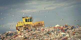 EPA Cuts $18M Grant to Reduce Food Waste epa-cuts-18m-grant-to-reduce-food-waste