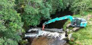 Europe Sets New Record for River Barrier Removals in 2024 europe-sets-new-record-for-river-barrier-removals-in-2024