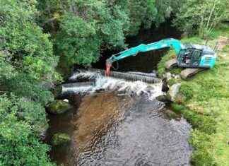 Europe Sets New Record for River Barrier Removals in 2024 europe-sets-new-record-for-river-barrier-removals-in-2024