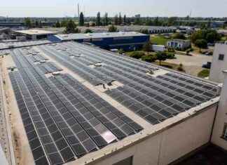 European Companies Backing Strong Climate Action: Key Findings european-companies-backing-strong-climate-action-key-findings