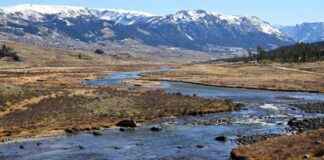 Exploring Wyoming’s Voluntary Water Conservation Programs – Latest Updates exploring-wyomings-voluntary-water-conservation-programs-latest-updates
