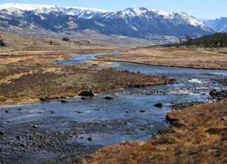 Exploring Wyoming’s Voluntary Water Conservation Programs – Latest Updates exploring-wyomings-voluntary-water-conservation-programs-latest-updates