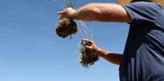 Federal Judge Orders Restoration of Environmental Grant Funding by Trump Administration federal-judge-orders-restoration-of-environmental-grant-funding-by-trump-administration