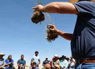 Federal Judge Orders Restoration of Environmental Grant Funding by Trump Administration federal-judge-orders-restoration-of-environmental-grant-funding-by-trump-administration