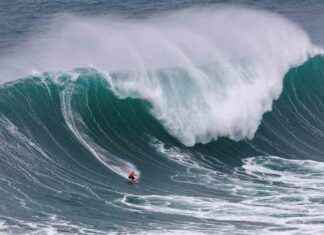 Key Focus: Brazil’s COP30 envoys
New Title: Brazil’s COP30 Envoys: Surfer, First Lady, and Former PM key-focus-brazils-cop30-envoysnew-title-brazils-cop30-envoys-surfer-first-lady-and-former-pm