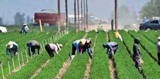 Lawsuit reinstates climate data deleted by Trump’s USDA lawsuit-reinstates-climate-data-deleted-by-trumps-usda