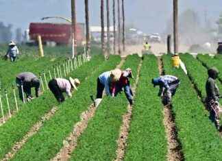 Lawsuit reinstates climate data deleted by Trump’s USDA lawsuit-reinstates-climate-data-deleted-by-trumps-usda