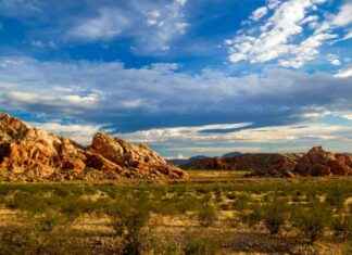 Locals Oppose Plan to Sell 500,000 Acres of Public Lands for Housing in Nevada and Utah locals-oppose-plan-to-sell-500000-acres-of-public-lands-for-housing-in-nevada-and-utah