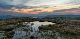 Mapping Reveals 80% Degraded Peatlands in England mapping-reveals-80-degraded-peatlands-in-england