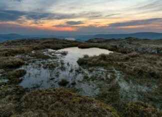 Mapping Reveals 80% Degraded Peatlands in England mapping-reveals-80-degraded-peatlands-in-england
