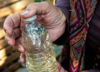 Microplastics Pollution in Texas Bays: Study Reveals Impact on Ocean Ecosystems microplastics-pollution-in-texas-bays-study-reveals-mpact-on-ocean-ecosystems