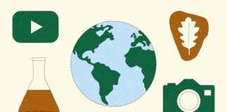 Impact of Federal Budget Cuts on YouTube Creators mpact-of-federal-budget-cuts-on-youtube-creators