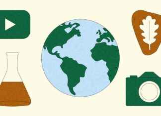 Impact of Federal Budget Cuts on YouTube Creators mpact-of-federal-budget-cuts-on-youtube-creators