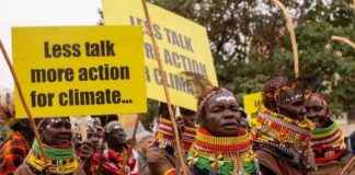 Navigating Indigenous Land Disputes in Kenya’s Carbon Market Plans navigating-ndigenous-land-disputes-in-kenyas-carbon-market-plans