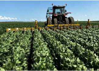 Investing in Farmers Transitioning to Organic, Regenerative Agriculture – A Guide by Iroquois Valley nvesting-in-farmers-transitioning-to-organic-regenerative-agriculture-a-guide-by-roquois-valley