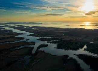 Pharmaceutical Pollution in Global Waterways: A Comprehensive Report pharmaceutical-pollution-in-global-waterways-a-comprehensive-report