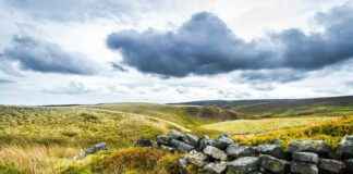 Protecting Wildlife and Landscapes: UK’s New Nature Reserve Inspired by Brontë Sisters protecting-wildlife-and-landscapes-uks-new-nature-reserve-nspired-by-bront-sisters