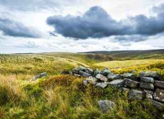 Protecting Wildlife and Landscapes: UK’s New Nature Reserve Inspired by Brontë Sisters protecting-wildlife-and-landscapes-uks-new-nature-reserve-nspired-by-bront-sisters