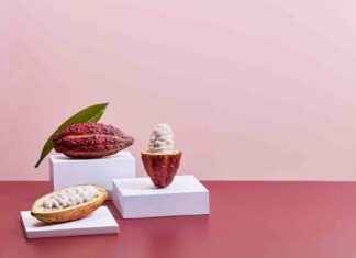 Revolutionizing Chocolate Snacks: A New Approach by a Snack Company revolutionizing-chocolate-snacks-a-new-approach-by-a-snack-company