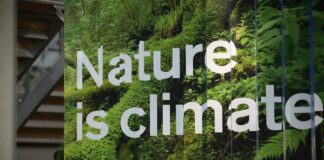 solving-climate-and-biodiversity-crises-through-system-change