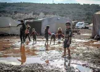 Study: Top Polluters Least Affected by Conflict and Environmental Damage study-top-polluters-least-affected-by-conflict-and-environmental-damage