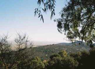 The Impact of Europe’s Lithium Rush on Mineral-Rich Communities the-mpact-of-europes-lithium-rush-on-mineral-rich-communities