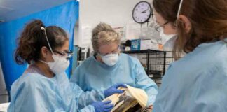toxic-algal-bloom-in-california-mpact-on-marine-life