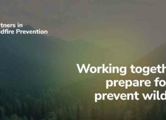 wildfire-prevention-coalition-unites-grid-forward-and-partners